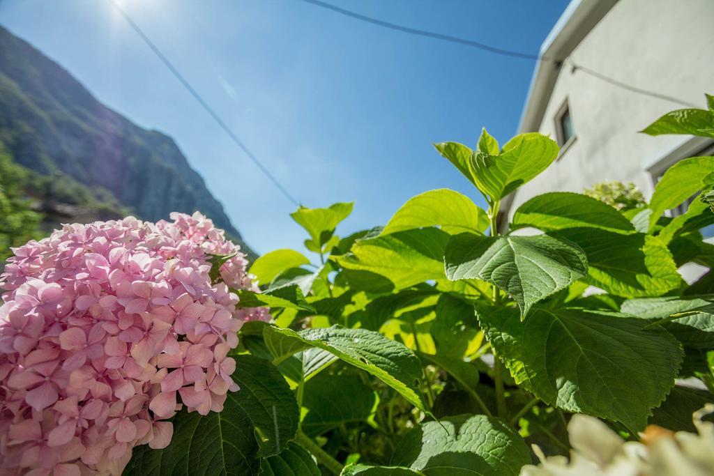 Farm Stay Ferjancic Vipava Ngoại thất bức ảnh